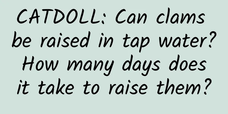 CATDOLL: Can clams be raised in tap water? How many days does it take to raise them?