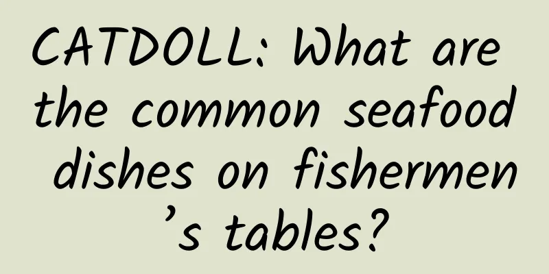 CATDOLL: What are the common seafood dishes on fishermen’s tables?