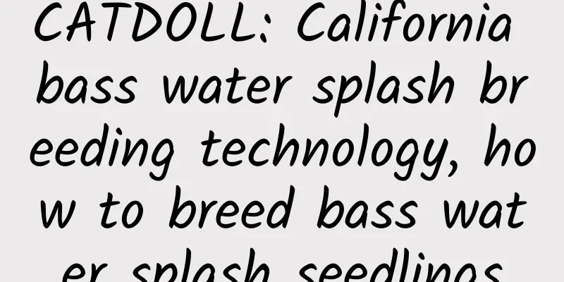 CATDOLL: California bass water splash breeding technology, how to breed bass water splash seedlings