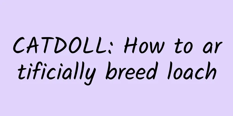 CATDOLL: How to artificially breed loach