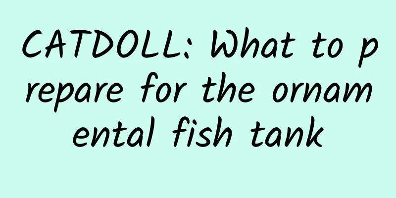 CATDOLL: What to prepare for the ornamental fish tank