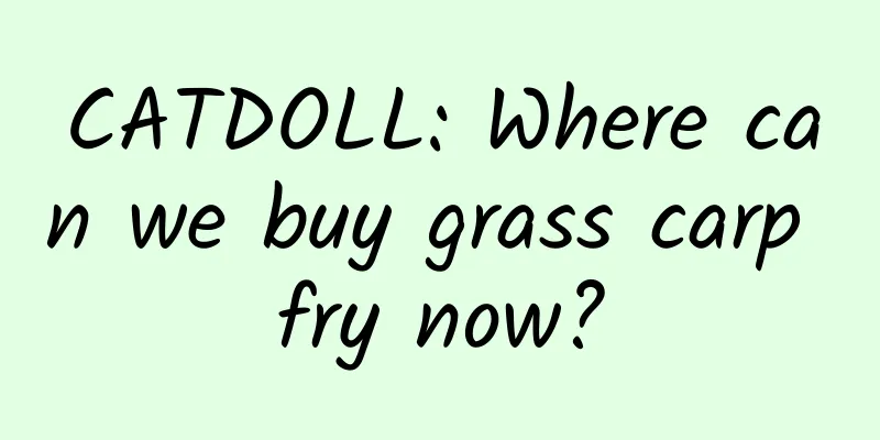 CATDOLL: Where can we buy grass carp fry now?