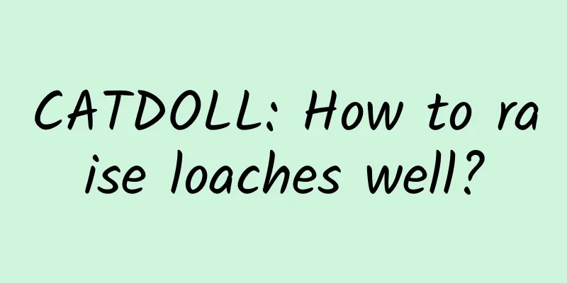 CATDOLL: How to raise loaches well?