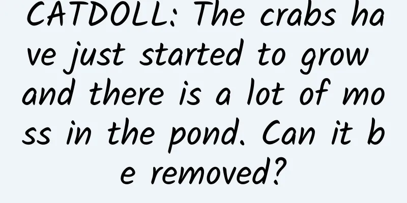 CATDOLL: The crabs have just started to grow and there is a lot of moss in the pond. Can it be removed?