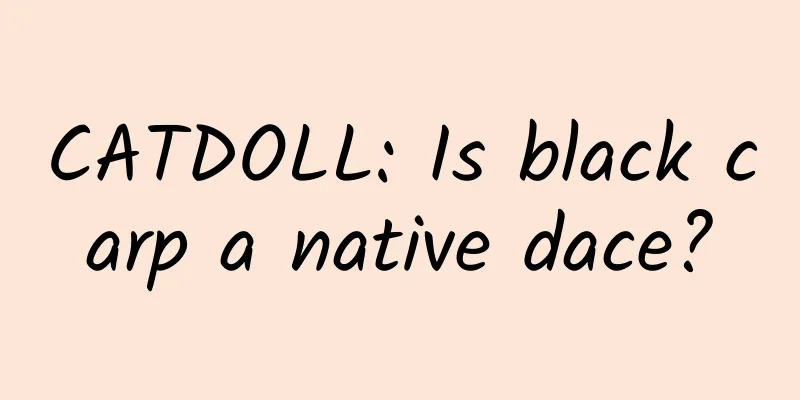 CATDOLL: Is black carp a native dace?