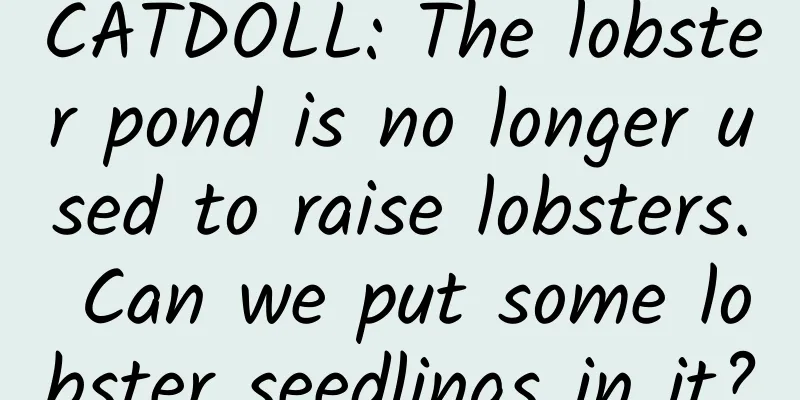 CATDOLL: The lobster pond is no longer used to raise lobsters. Can we put some lobster seedlings in it?