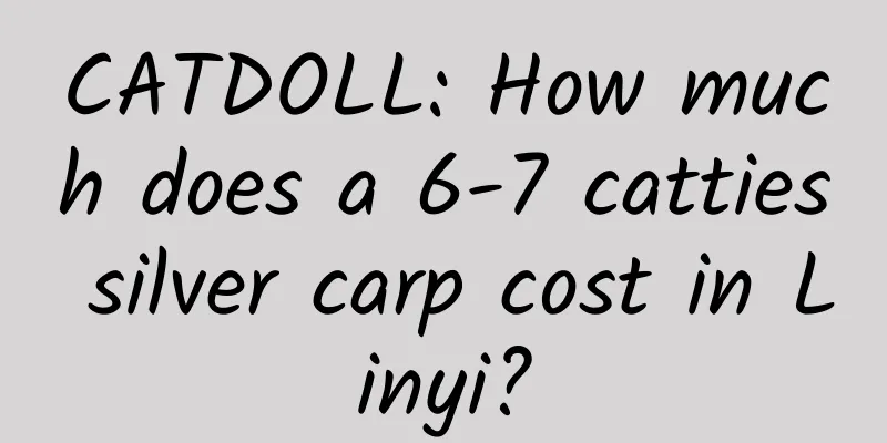 CATDOLL: How much does a 6-7 catties silver carp cost in Linyi?
