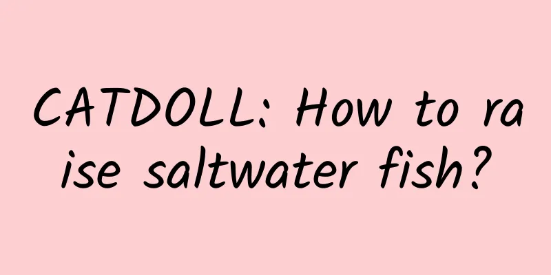 CATDOLL: How to raise saltwater fish?