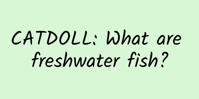 CATDOLL: What are freshwater fish?
