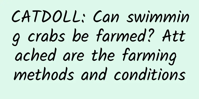 CATDOLL: Can swimming crabs be farmed? Attached are the farming methods and conditions