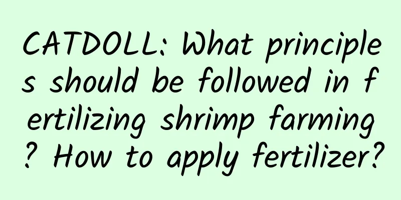 CATDOLL: What principles should be followed in fertilizing shrimp farming? How to apply fertilizer?
