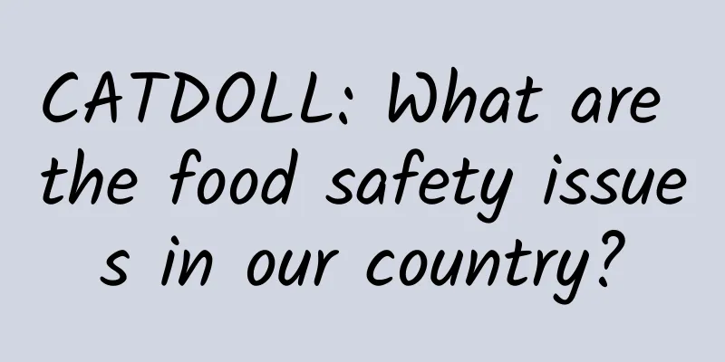 CATDOLL: What are the food safety issues in our country?