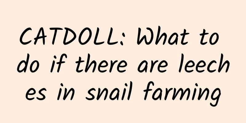 CATDOLL: What to do if there are leeches in snail farming