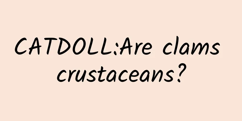 CATDOLL:Are clams crustaceans?