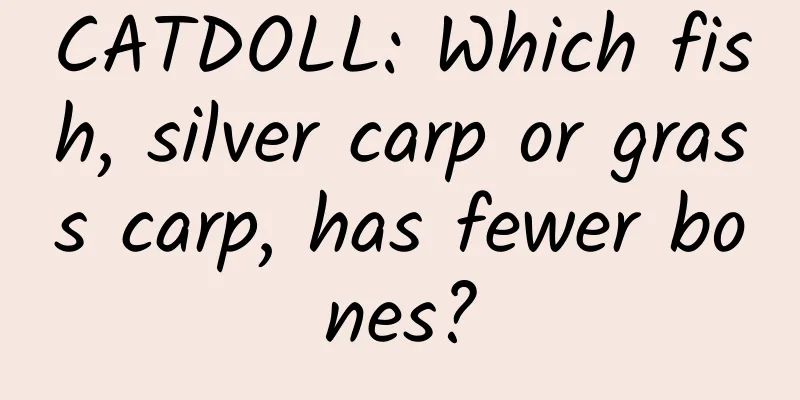 CATDOLL: Which fish, silver carp or grass carp, has fewer bones?