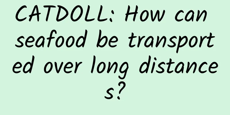 CATDOLL: How can seafood be transported over long distances?