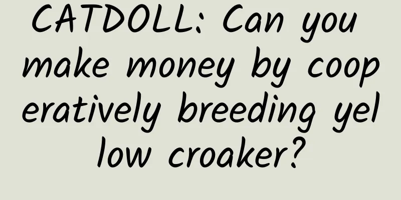 CATDOLL: Can you make money by cooperatively breeding yellow croaker?