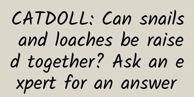 CATDOLL: Can snails and loaches be raised together? Ask an expert for an answer