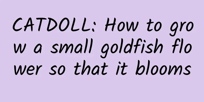 CATDOLL: How to grow a small goldfish flower so that it blooms