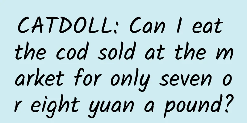 CATDOLL: Can I eat the cod sold at the market for only seven or eight yuan a pound?