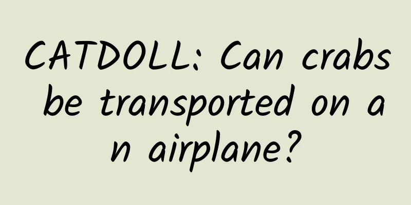 CATDOLL: Can crabs be transported on an airplane?