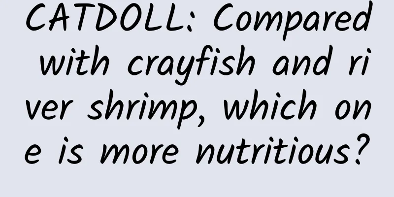 CATDOLL: Compared with crayfish and river shrimp, which one is more nutritious?