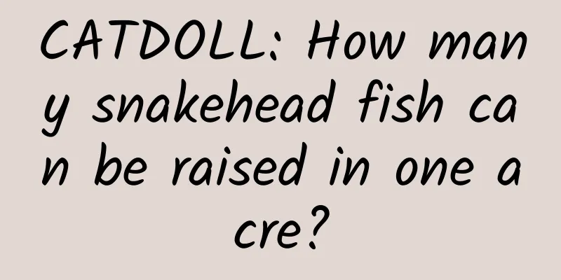 CATDOLL: How many snakehead fish can be raised in one acre?