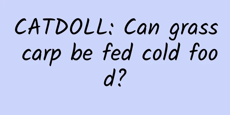 CATDOLL: Can grass carp be fed cold food?