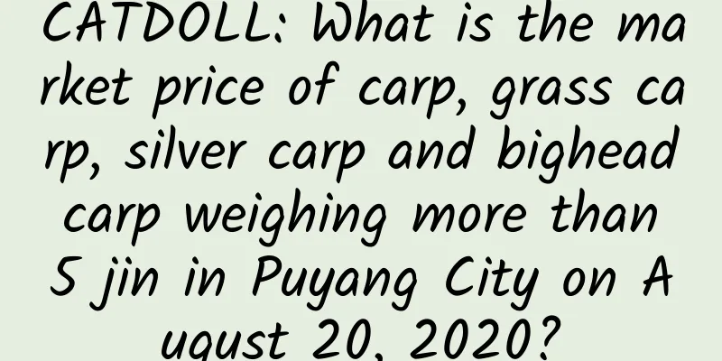 CATDOLL: What is the market price of carp, grass carp, silver carp and bighead carp weighing more than 5 jin in Puyang City on August 20, 2020?