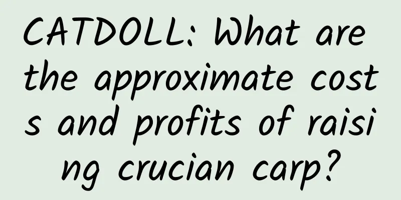 CATDOLL: What are the approximate costs and profits of raising crucian carp?