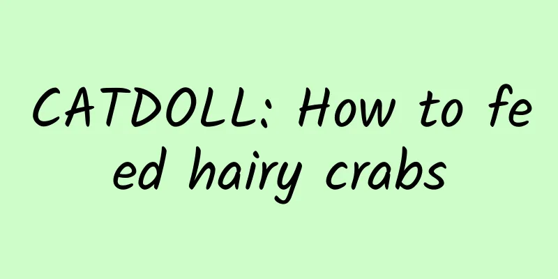 CATDOLL: How to feed hairy crabs