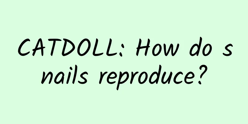 CATDOLL: How do snails reproduce?