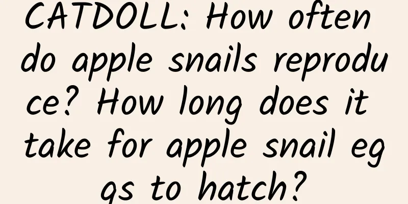 CATDOLL: How often do apple snails reproduce? How long does it take for apple snail eggs to hatch?