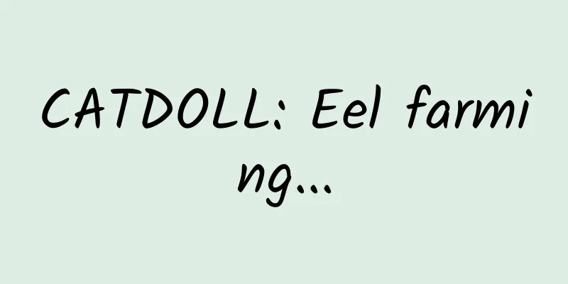 CATDOLL: Eel farming...