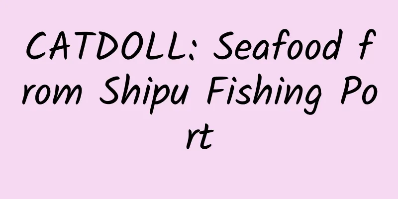 CATDOLL: Seafood from Shipu Fishing Port