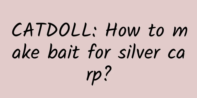 CATDOLL: How to make bait for silver carp?