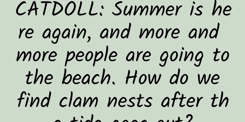 CATDOLL: Summer is here again, and more and more people are going to the beach. How do we find clam nests after the tide goes out?