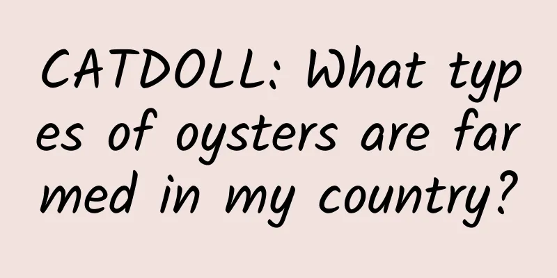 CATDOLL: What types of oysters are farmed in my country?