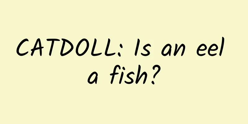 CATDOLL: Is an eel a fish?