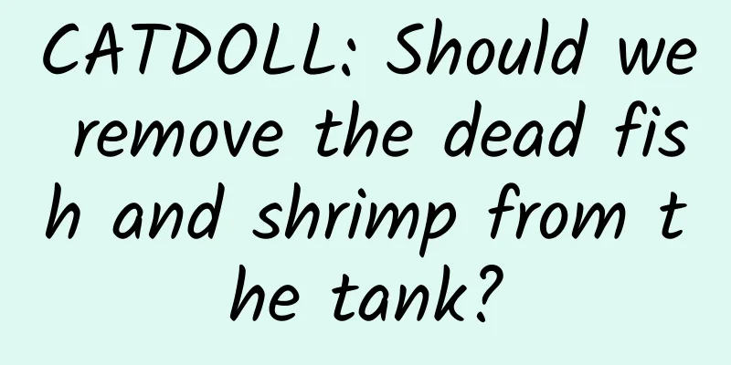 CATDOLL: Should we remove the dead fish and shrimp from the tank?