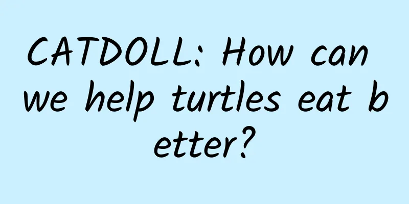 CATDOLL: How can we help turtles eat better?