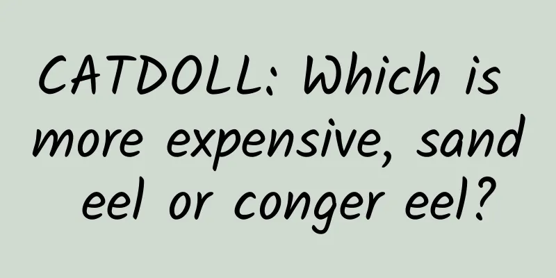 CATDOLL: Which is more expensive, sand eel or conger eel?