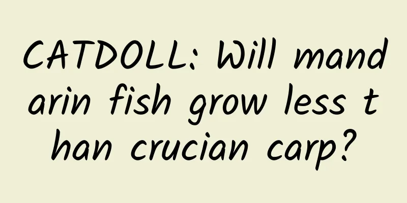 CATDOLL: Will mandarin fish grow less than crucian carp?