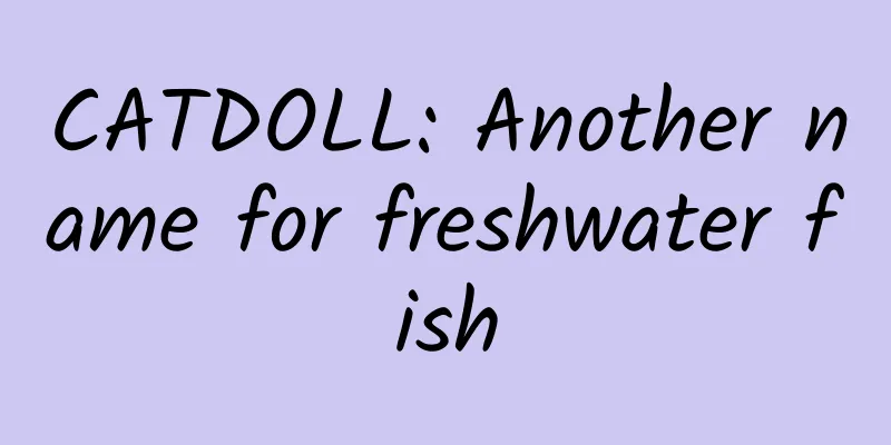 CATDOLL: Another name for freshwater fish