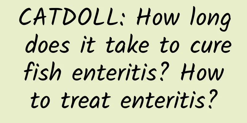 CATDOLL: How long does it take to cure fish enteritis? How to treat enteritis?
