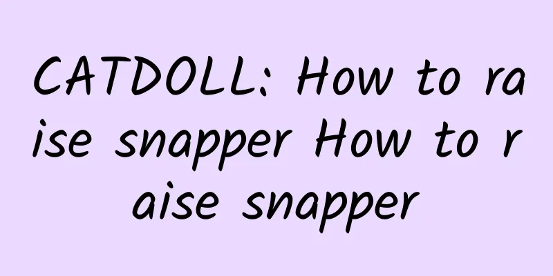 CATDOLL: How to raise snapper How to raise snapper