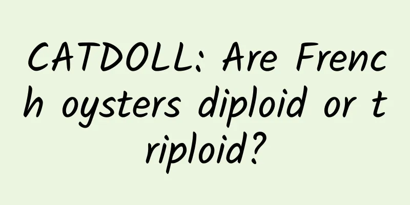 CATDOLL: Are French oysters diploid or triploid?