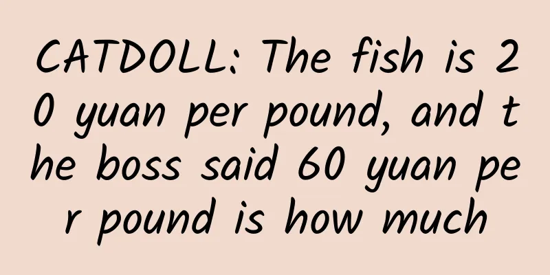 CATDOLL: The fish is 20 yuan per pound, and the boss said 60 yuan per pound is how much