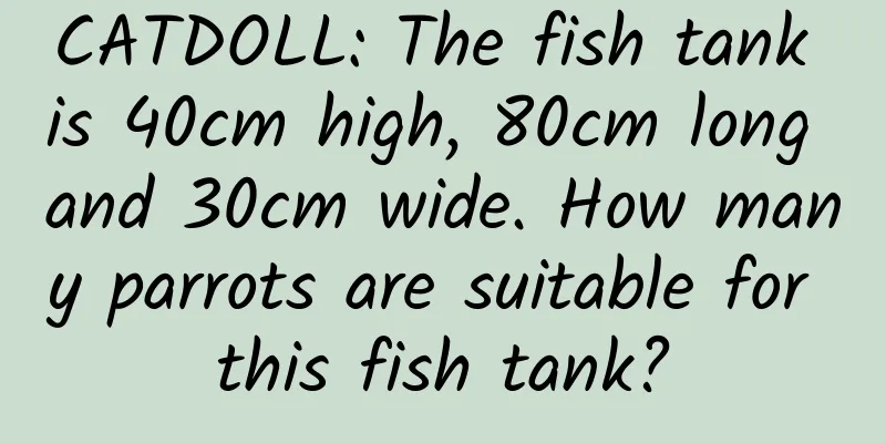 CATDOLL: The fish tank is 40cm high, 80cm long and 30cm wide. How many parrots are suitable for this fish tank?