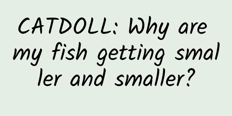 CATDOLL: Why are my fish getting smaller and smaller?